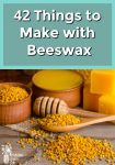 beeswax, bee pollen, honey dipper and wooden spoon