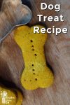 homemade dog treat