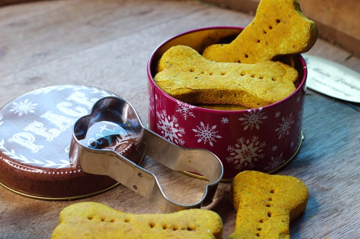 coconut oil turmeric dog treats