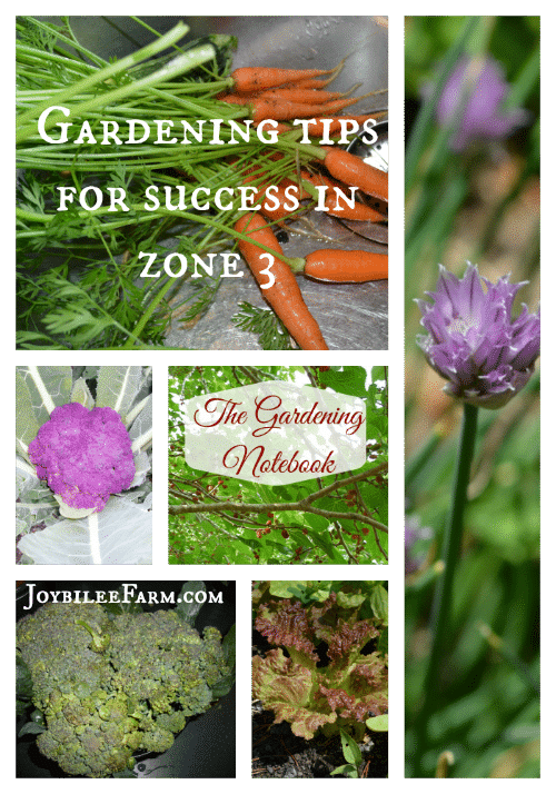 Photo collage of vegetables and book cover