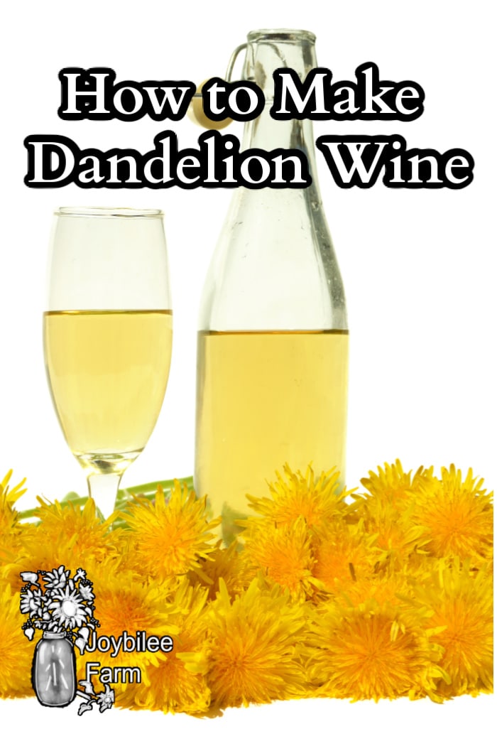 How to Make Dandelion Wine Joybilee® Farm DIY Herbs Gardening