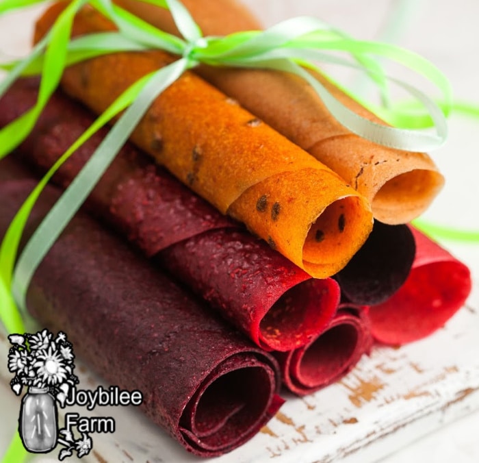 Easy Fruit Leather Recipe That Anyone