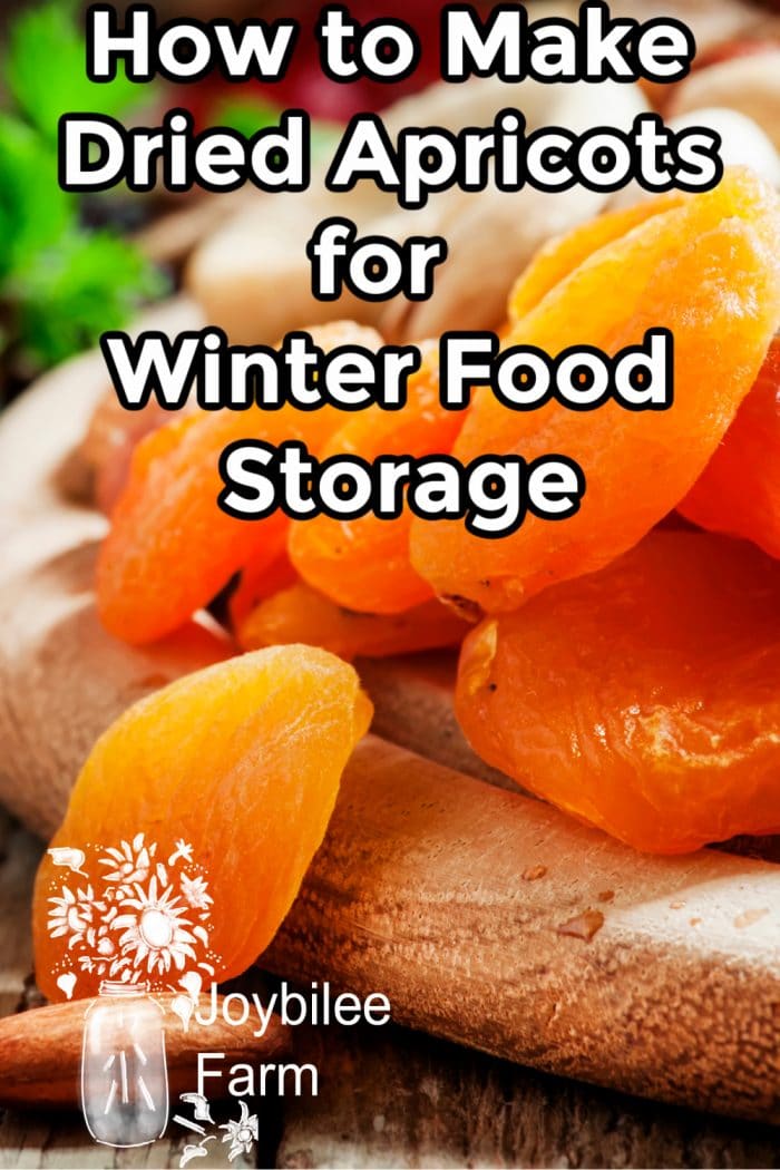 How to Make Dried Apricots for Winter Food Storage