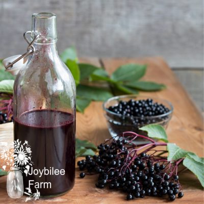 A bottle of elderberry syrup on a wooden table, with fresh elderberries in the background