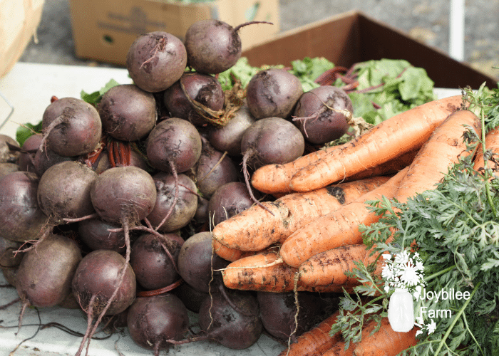 Carrots and beets are not for long term food storage. They're storage time is around 3 to 6 months.