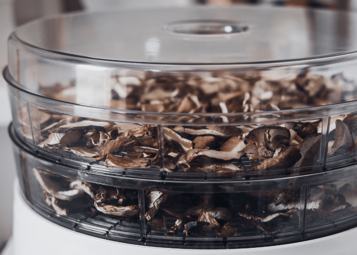 How To Dry Mushrooms Using A Food Dehydrator 