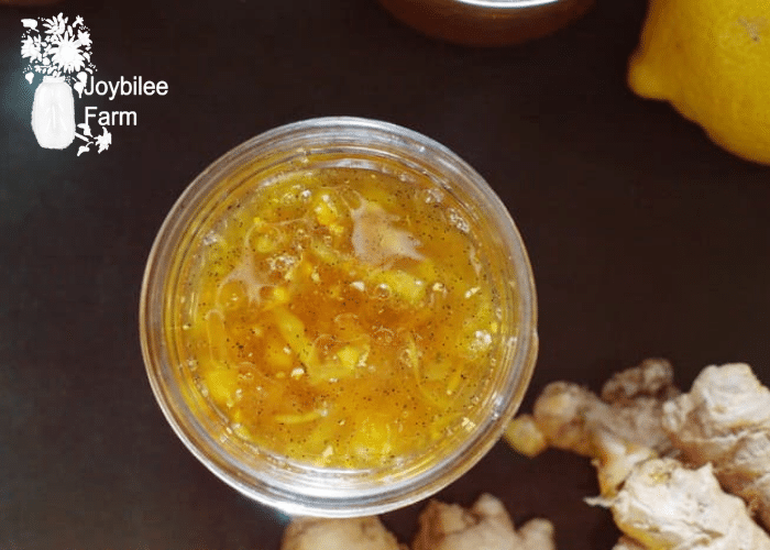 Gingerbread Spice Jelly Recipe: How to Make It